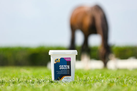 Cavalor SoZen -  is the natural solution to stress. 400g