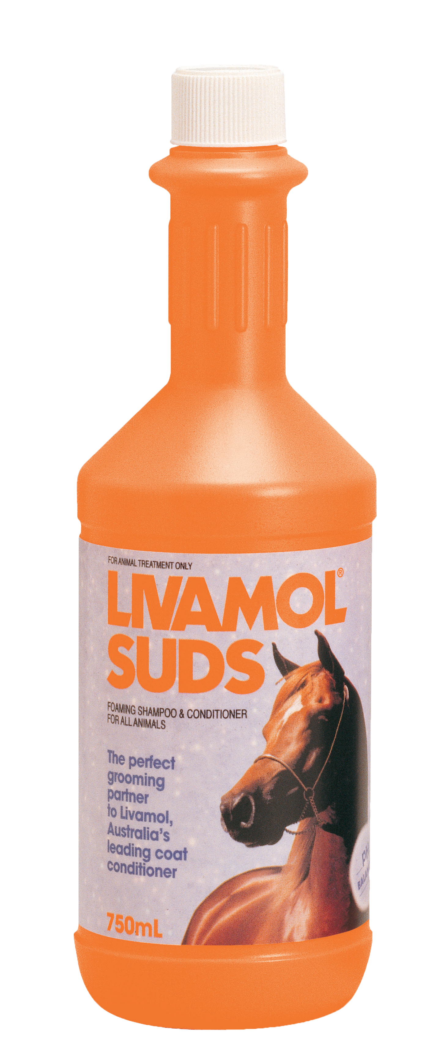 LIVAMOL SUDS SHAMPOO