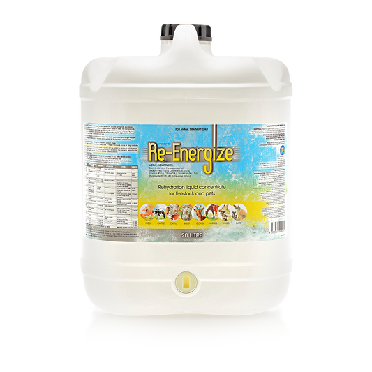 Re-Energize Rehydration Liquid Concentrate