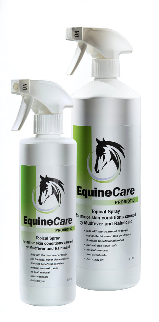 Equine Care Probiotic - Treat Mud Fever & Rain Scald