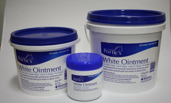 Potties White Ointment 350g