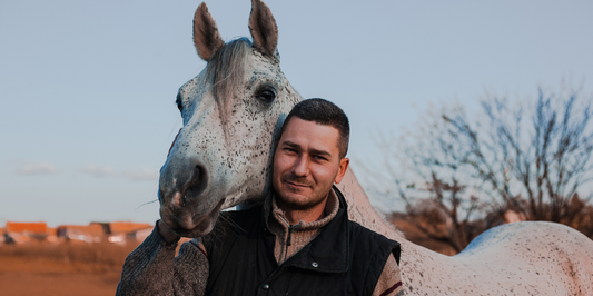 10 Reasons Why Horses Make the Best Companions