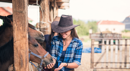 Understanding Horse Supplements: A Guide for Equine Owners