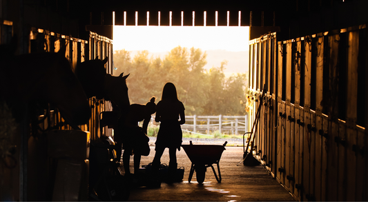 5 Tips for Stabling Your Horse: Ensuring the Comfort and Safety of Your Equine Friend