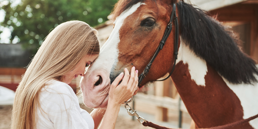 How To Properly Care For And Maintain Your Horse's Health