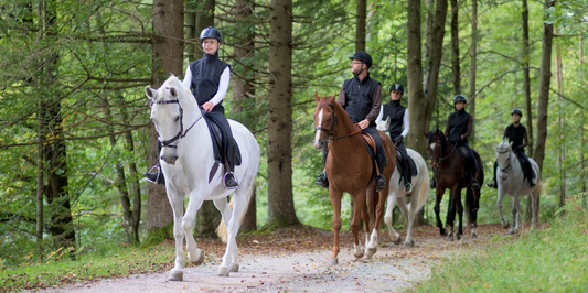 The Benefits Of Horseback Riding For Children And Adults