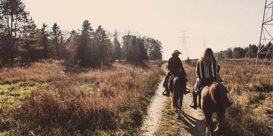 Tips For Beginners On Horse Riding And Equestrianism