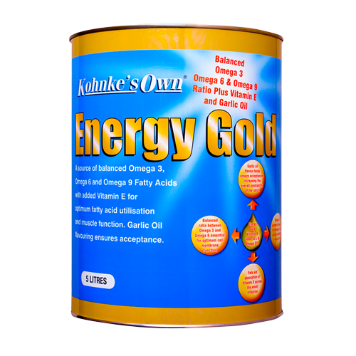 Khonke's Energy Gold  2 Lt oil supplement for horses
