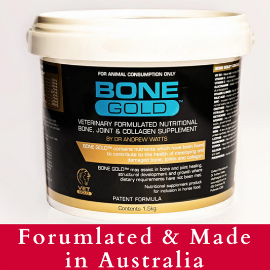Support Bone, Joint, and Collagen Health with Bone Gold 1.5kg